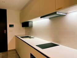 Shunfu Road (D20), Condominium #575945521